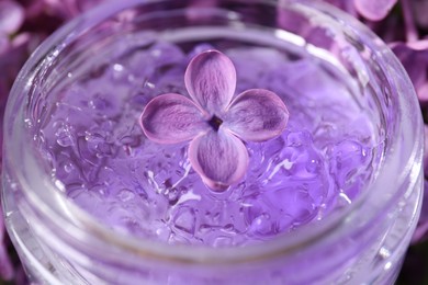 Lilac flower in jar of cosmetic product, closeup