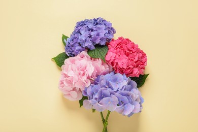 Beautiful hortensia flowers on beige background, flat lay