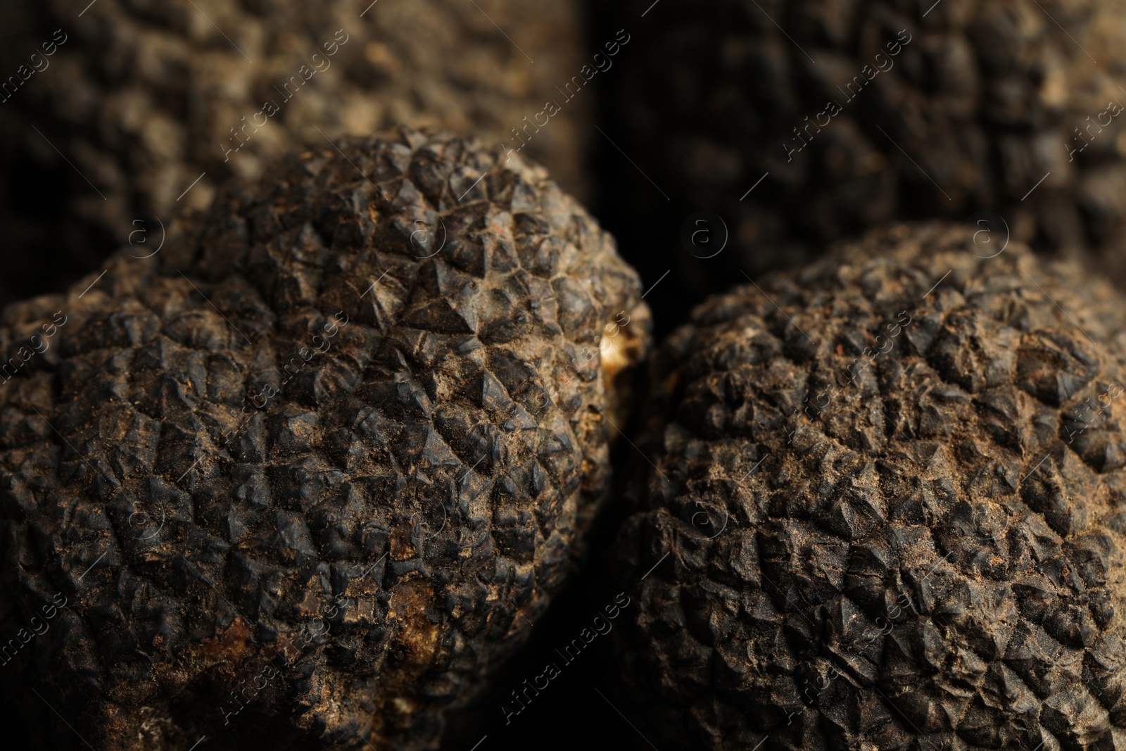 Photo of Closeup view of fresh whole black truffles