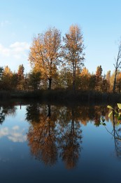 Photo of Picturesque view of lake and trees on autumn day