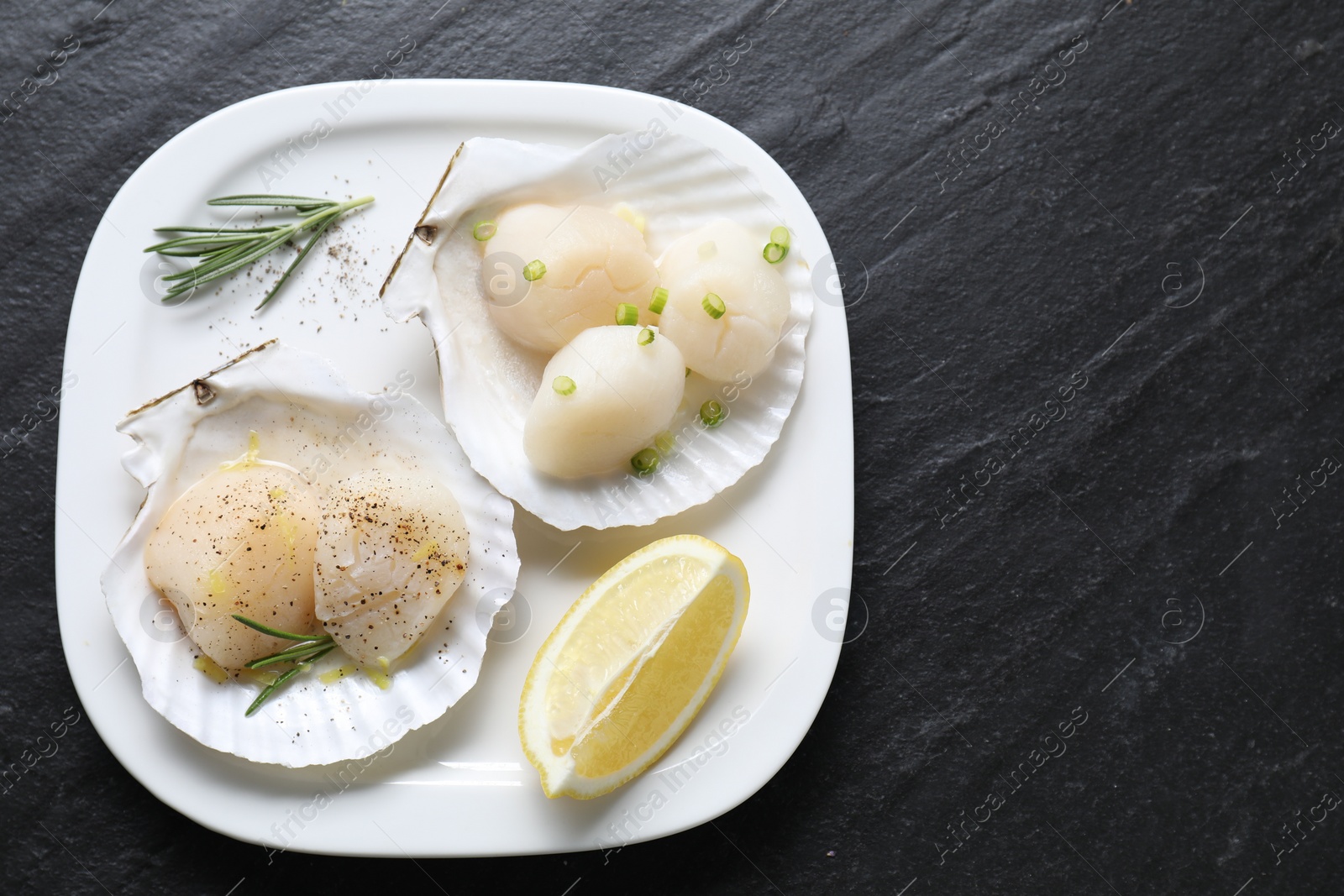 Photo of Raw scallops with green onion, rosemary, lemon and shells on dark textured table, top view. Space for text
