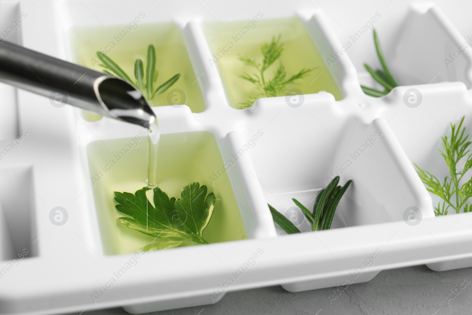 Photo of Pouring oil into ice cube tray with herbs, closeup