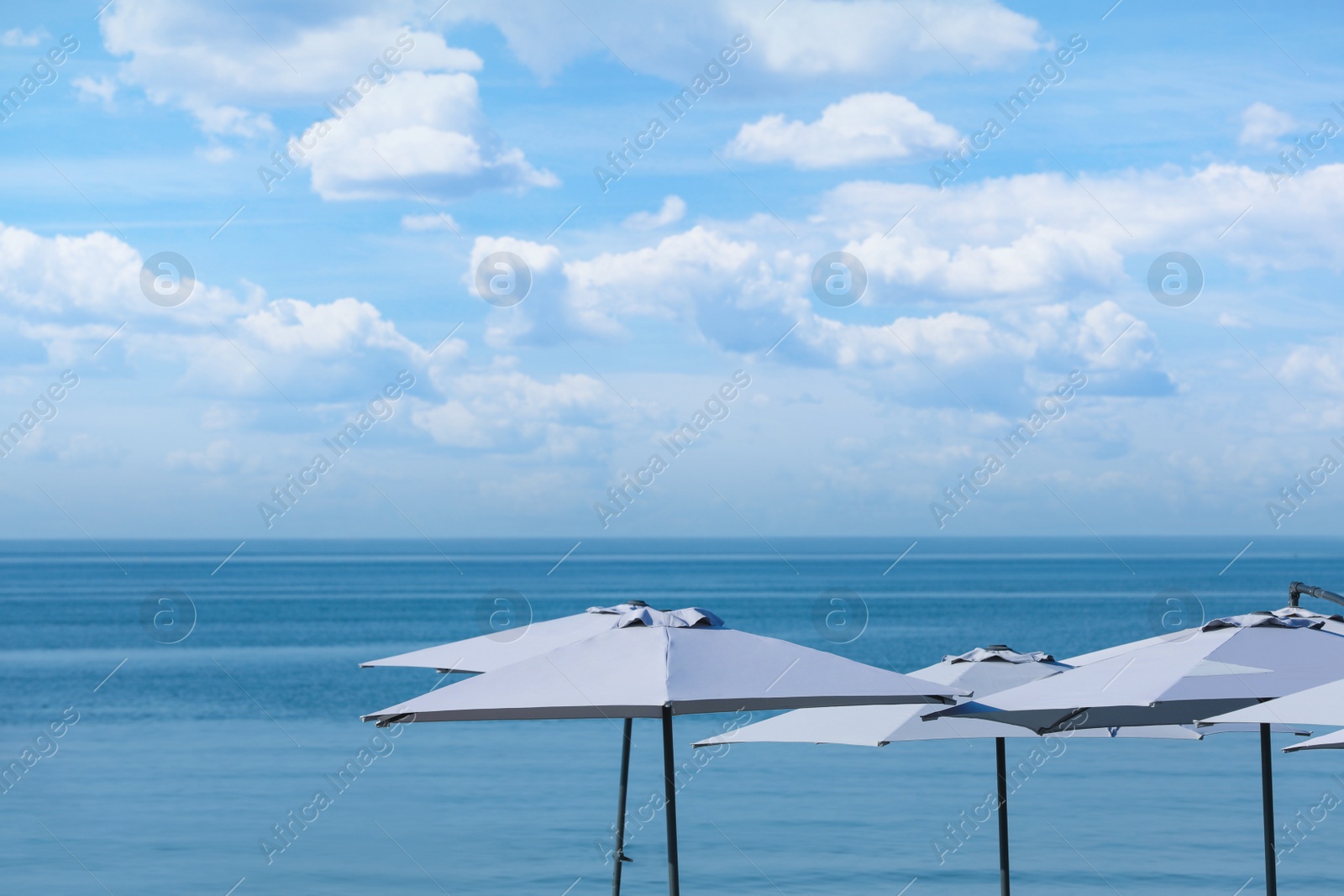 Photo of Many beach umbrellas at resort on sunny day