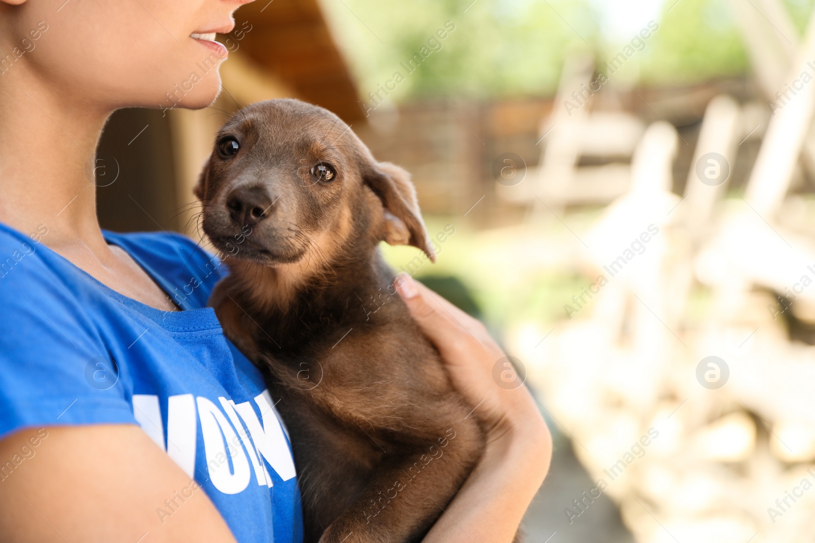 Photo of Woman holding homeless dog outdoors, space for text. Concept of volunteering