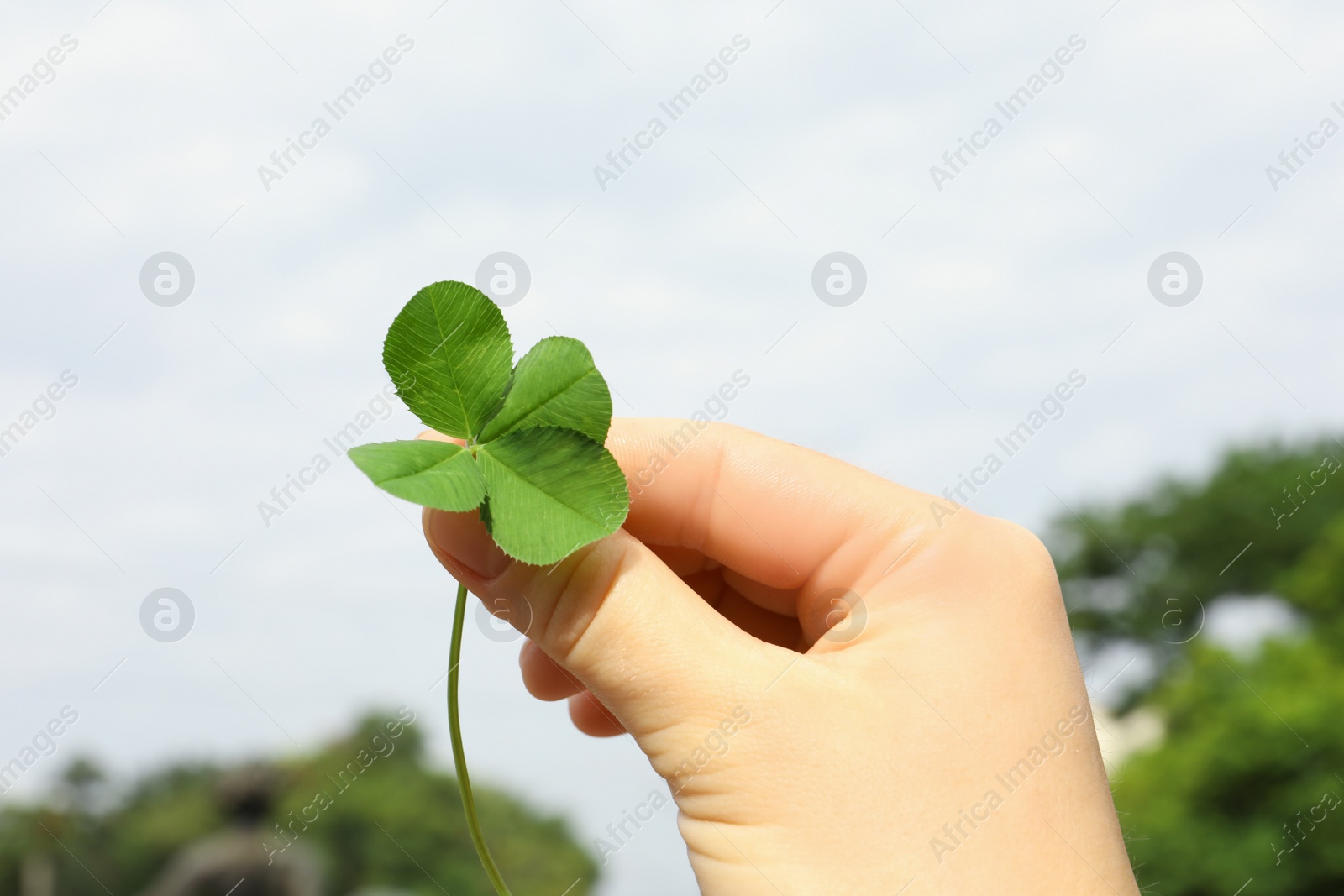 Photo of Woman holding four-leaf clover outdoors, closeup