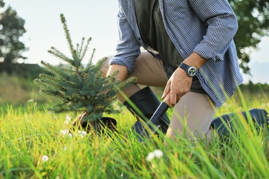 Photo of Man planting conifer tree in meadow, closeup