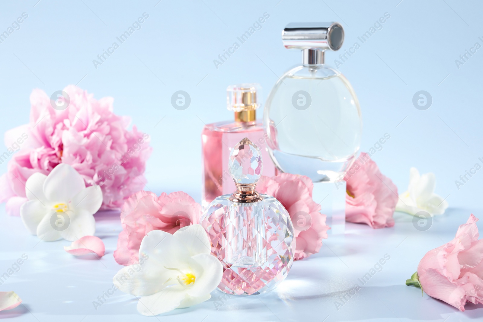 Photo of Bottles of luxury perfumes and floral decor on light blue background