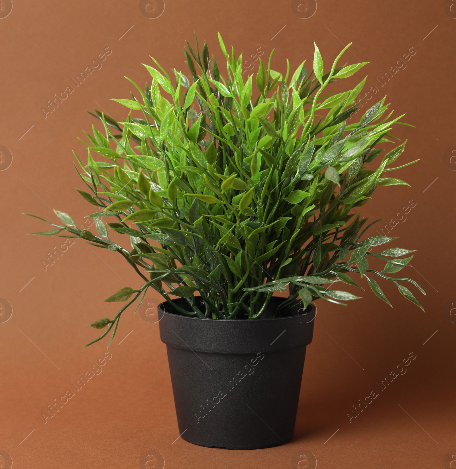 Photo of Beautiful artificial plant in flower pot on brown background