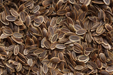 Photo of Many dry dill seeds as background, top view