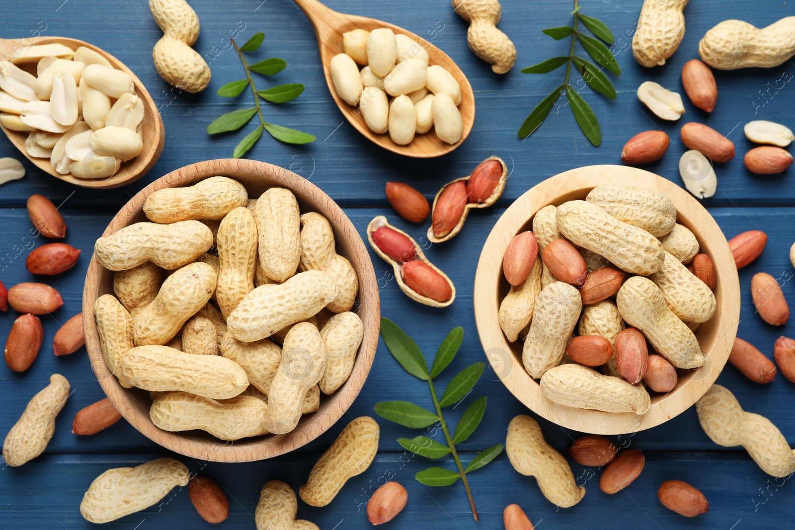 Photo of Fresh peanuts and twigs on blue wooden table, flat lay