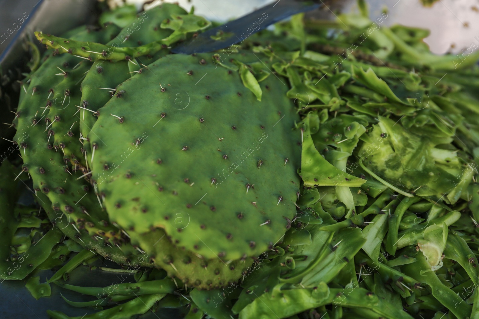 Photo of Heap of fresh nopal leaves, closeup view