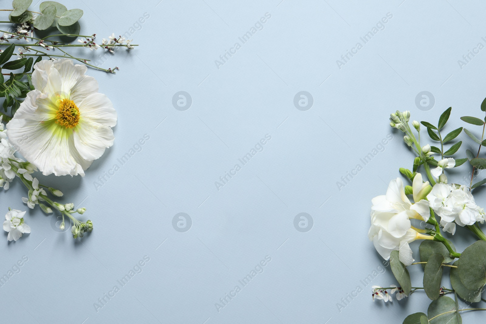 Photo of Different beautiful flowers on light grey background, flat lay. Space for text