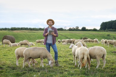 Photo of Smiling man with tablet surrounded by sheep on pasture at farm