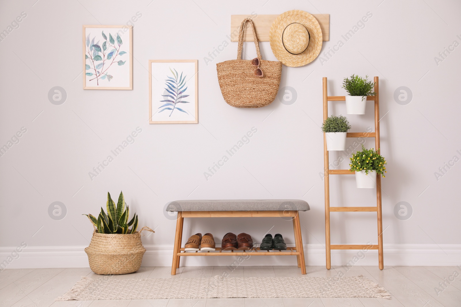 Photo of Beautiful plants and comfortable bench near white wall at home. Idea for interior design