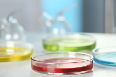 Image of Petri dishes with liquid samples on table. Laboratory analysis