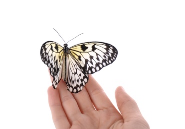 Photo of Woman holding beautiful rice paper butterfly on white background, closeup