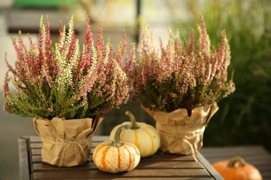 Photo of Beautiful heather flowers in pots and pumpkins on wooden table outdoors