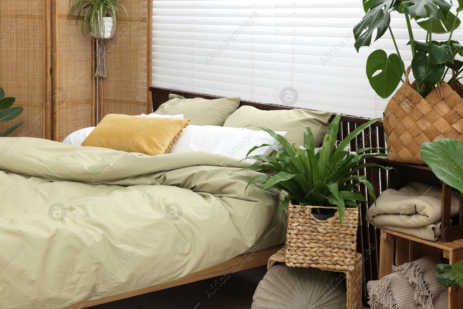 Photo of Comfortable bed and beautiful green houseplants in bedroom