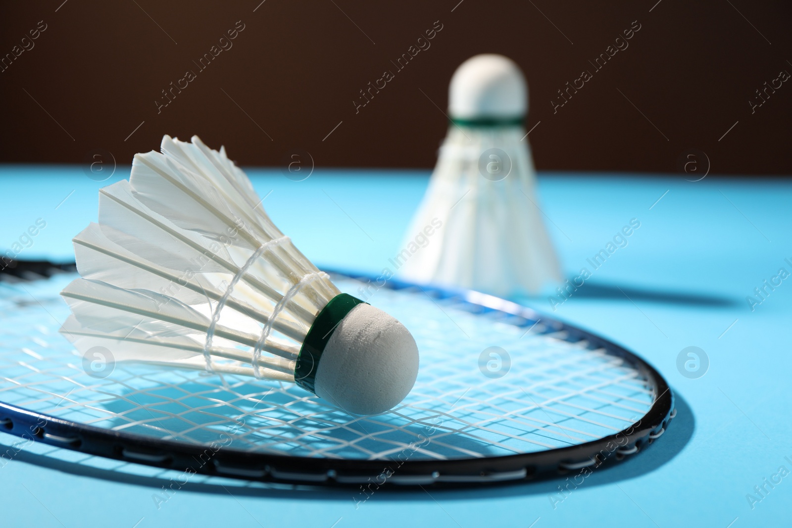 Photo of Feather badminton shuttlecocks and racket on court, selective focus