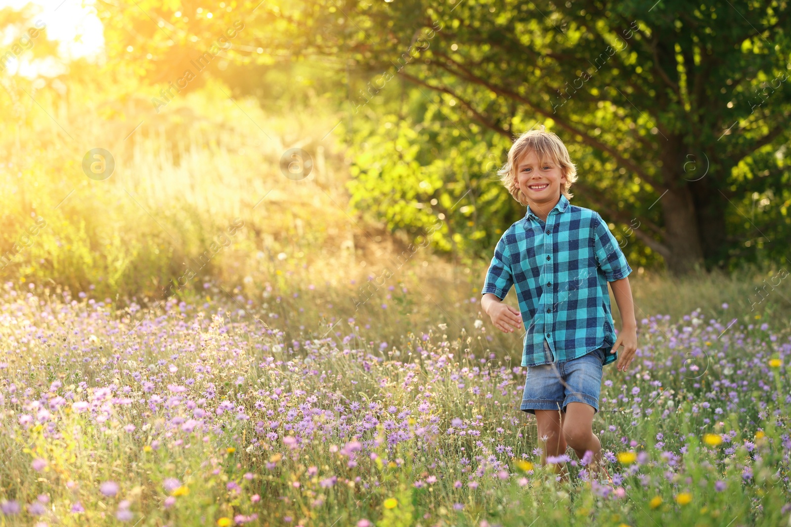 Photo of Cute little boy outdoors, space for text. Child spending time in nature