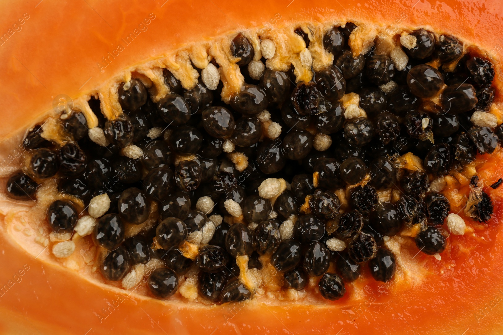 Photo of Fresh cut papaya fruit with black seeds as background, closeup view