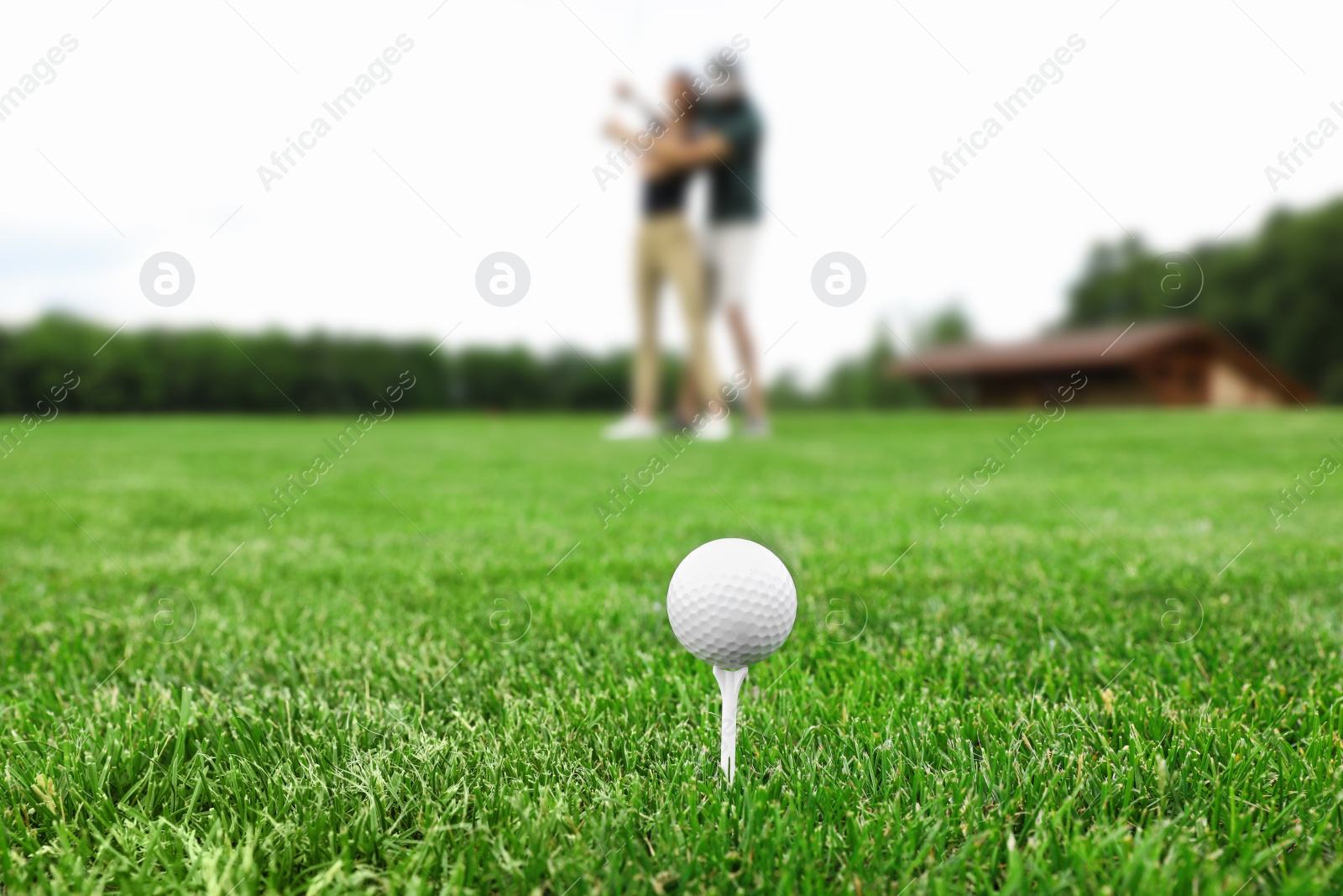 Photo of Tee with golf ball on green course