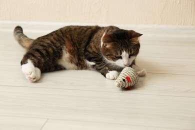 Photo of Cute cat playing with knitted toy on floor at home. Lovely pet