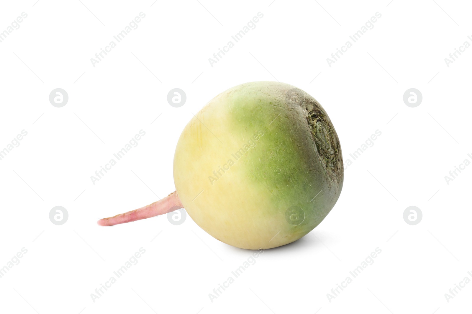 Photo of Whole fresh ripe turnip on white background