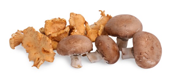 Fresh chanterelle and champignon mushrooms isolated on white