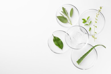 Photo of Petri dishes with different plants and cosmetic product on white background, top view. Space for text