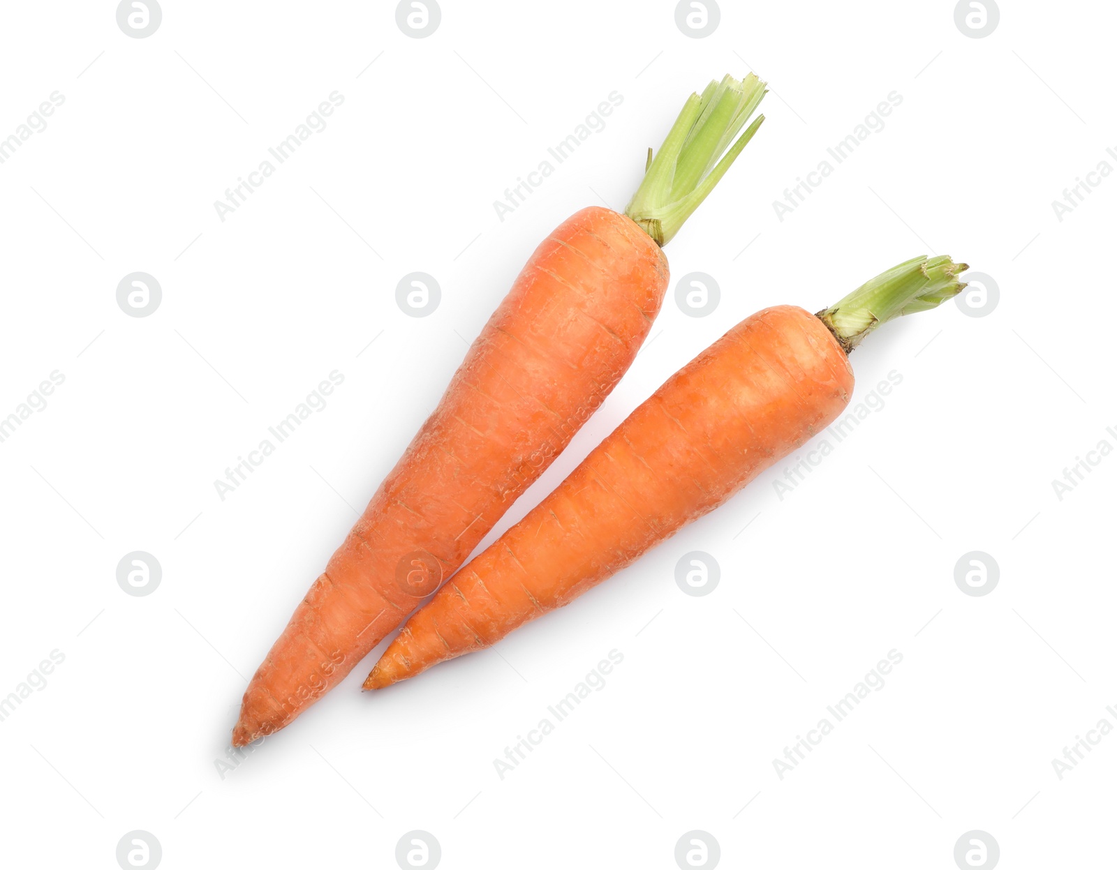 Photo of Fresh ripe carrots on white background, top view