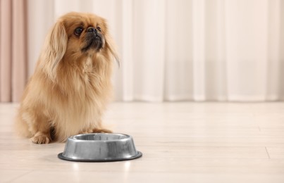 Photo of Cute Pekingese dog near pet bowl in room. Space for text