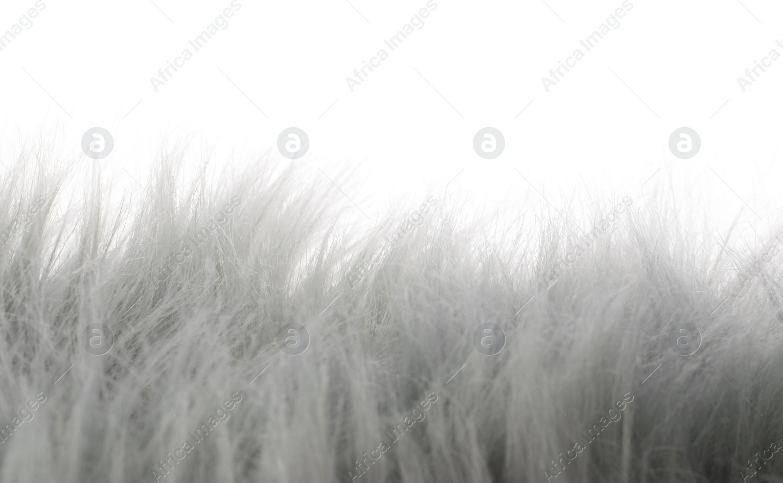 Photo of Soft grey faux fur isolated on white