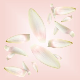 Image of White lotus flower petals falling on pink background