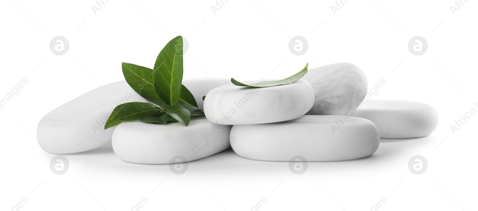 Photo of Spa stones with green plant isolated on white