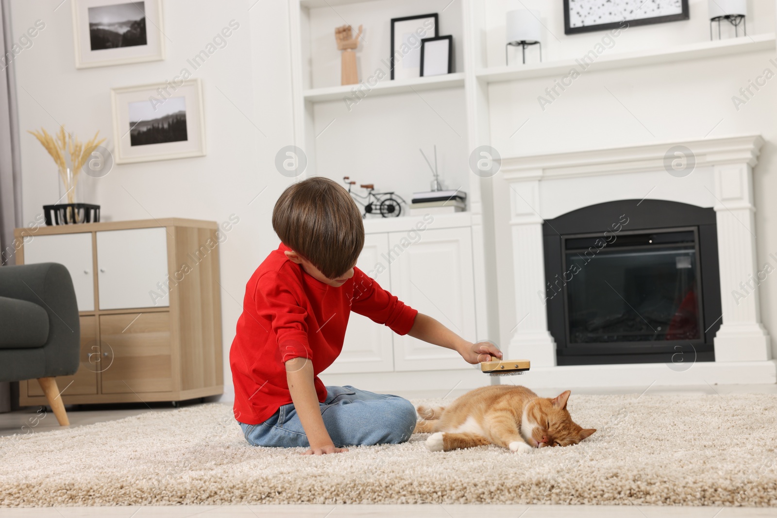 Photo of Little boy brushing cute ginger cat's fur on soft carpet at home