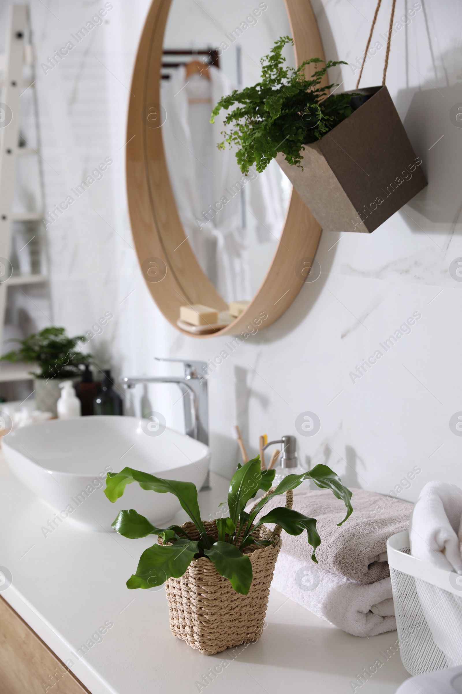 Photo of Beautiful green ferns and towels in bathroom