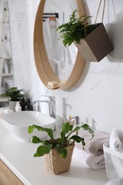 Beautiful green ferns and towels in bathroom