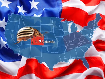 Image of USA map with marked state of Colorado and potato beetle 