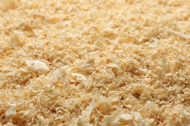 Dry natural sawdust as background, closeup view