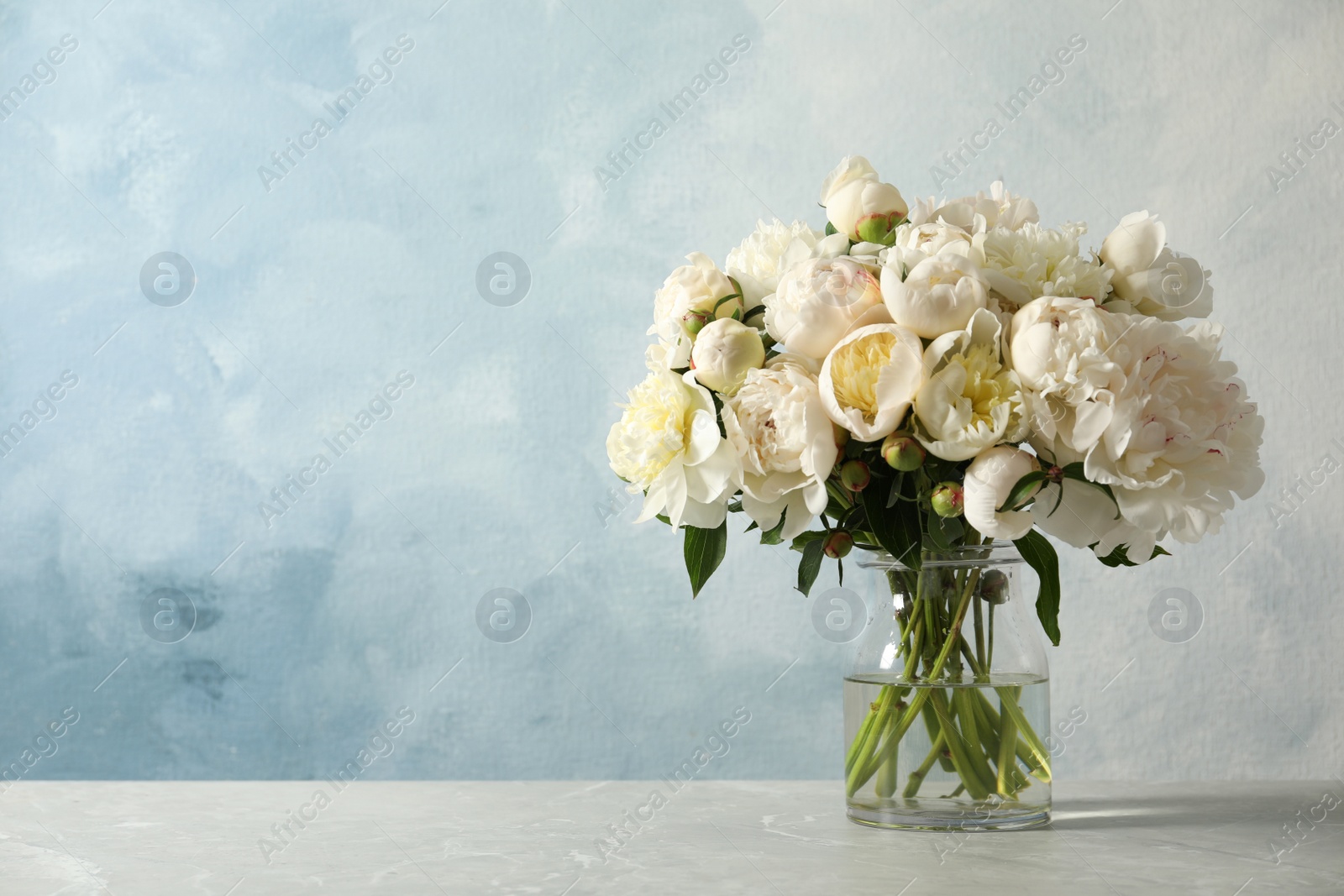 Photo of Fragrant peonies in vase on table against color background, space for text. Beautiful spring flowers