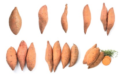 Image of Collage with sweet potatoes on white background