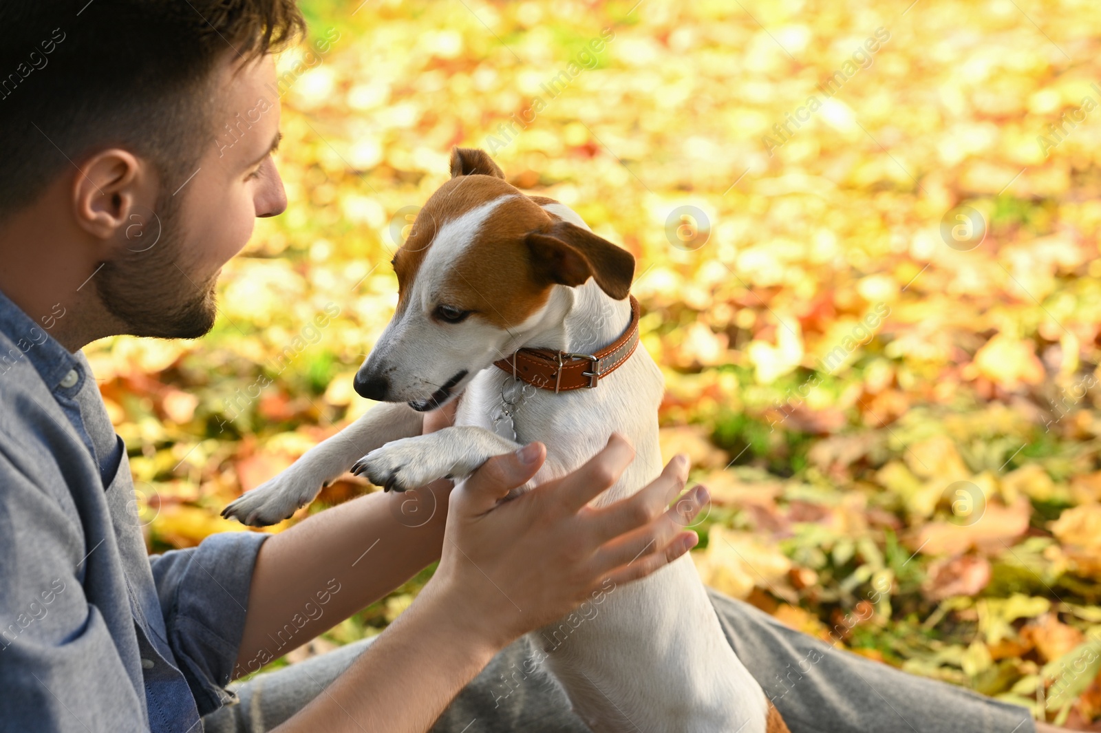 Photo of Man with adorable Jack Russell Terrier in autumn park, space for text. Dog walking