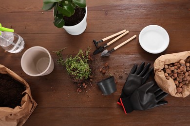 Photo of Houseplants, gloves, pot and tools for transplanting on wooden table, above view