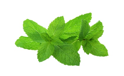 Photo of Fresh green mint leaves on white background