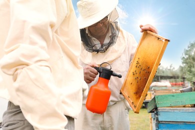 Photo of Beekeeper spraying sugar water onto hive frame at apiary. Harvesting honey