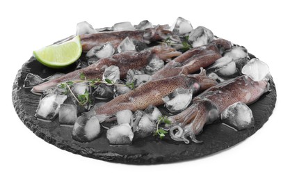 Photo of Fresh raw squids with ice, lime and thyme on white background