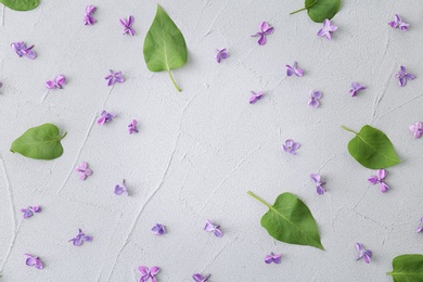 Flat lay composition with beautiful blossoming lilac on light background. Spring flowers