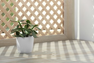 Photo of Beautiful plant on wooden window sill and decorative shutter. Space for text