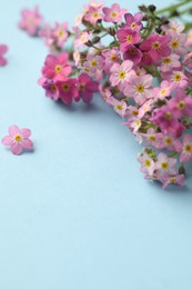 Photo of Beautiful Forget-me-not flowers on light blue background, closeup. Space for text